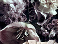 Wallpaper bouquet of flowers